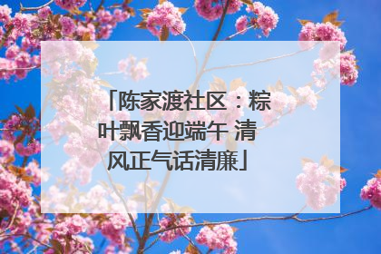陈家渡社区：粽叶飘香迎端午 清风正气话清廉