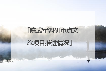 陈武军调研重点文旅项目推进情况