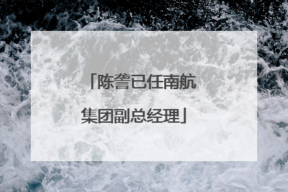 陈詟已任南航集团副总经理