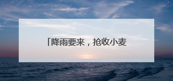 降雨要来，抢收小麦开启“倍速模式”