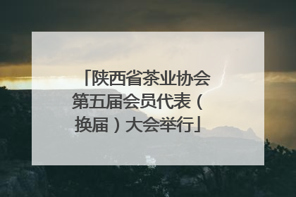 陕西省茶业协会第五届会员代表（换届）大会举行