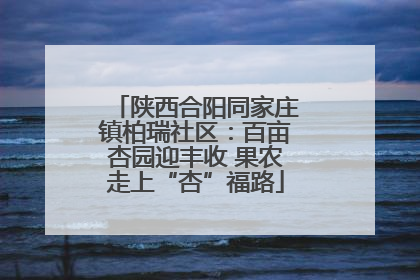 陕西合阳同家庄镇柏瑞社区：百亩杏园迎丰收 果农走上“杏”福路