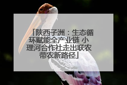 陕西子洲：生态循环赋能全产业链 小理河合作社走出联农带农新路径