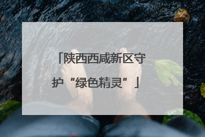 陕西西咸新区守护“绿色精灵”