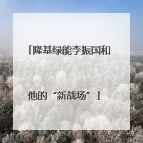 隆基绿能李振国和他的“新战场”