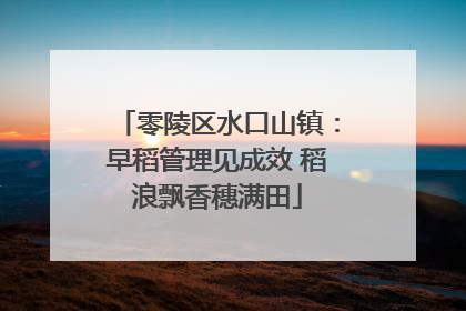 零陵区水口山镇：早稻管理见成效 稻浪飘香穗满田