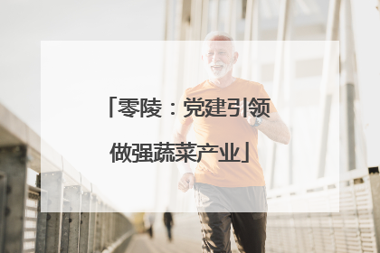 零陵：党建引领 做强蔬菜产业