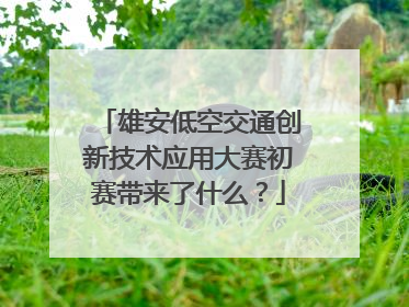 雄安低空交通创新技术应用大赛初赛带来了什么？