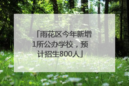 雨花区今年新增1所公办学校，预计招生800人