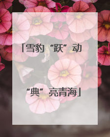 雪豹“跃”动 “典”亮青海