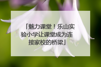魅力课堂！乐山实验小学让课堂成为连接家校的桥梁