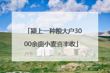 颍上一种粮大户3000余亩小麦喜丰收