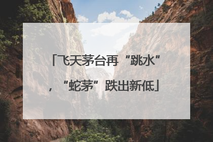 飞天茅台再“跳水”，“蛇茅”跌出新低