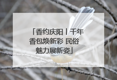 香约庆阳丨千年香包焕新彩 民俗魅力展新姿