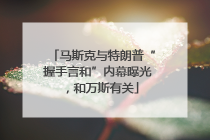马斯克与特朗普“握手言和”内幕曝光，和万斯有关