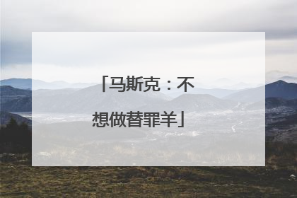 马斯克：不想做替罪羊