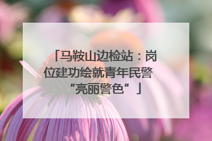 马鞍山边检站：岗位建功绘就青年民警“亮丽警色”