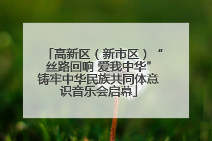 高新区（新市区）“丝路回响 爱我中华”铸牢中华民族共同体意识音乐会启幕
