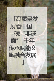 高质量发展看中国｜一碗“非遗面” 千年传承赋能文旅融合发展