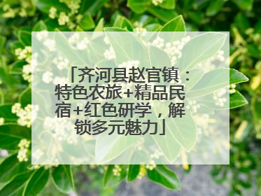 齐河县赵官镇：特色农旅+精品民宿+红色研学，解锁多元魅力