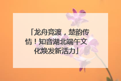 龙舟竞渡，楚韵传情！知音湖北端午文化焕发新活力