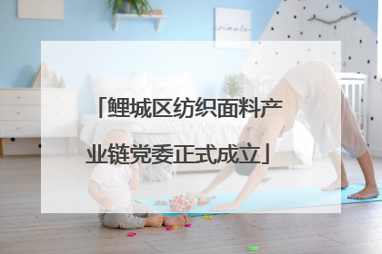 鲤城区纺织面料产业链党委正式成立
