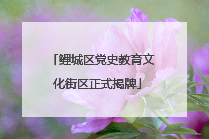 鲤城区党史教育文化街区正式揭牌