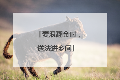 麦浪翻金时，送法进乡间