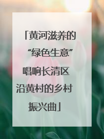 黄河滋养的“绿色生意” 唱响长清区沿黄村的乡村振兴曲