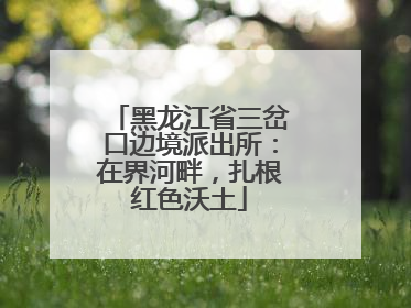黑龙江省三岔口边境派出所：在界河畔，扎根红色沃土