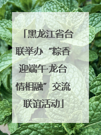 黑龙江省台联举办“粽香迎端午·龙台情相融”交流联谊活动