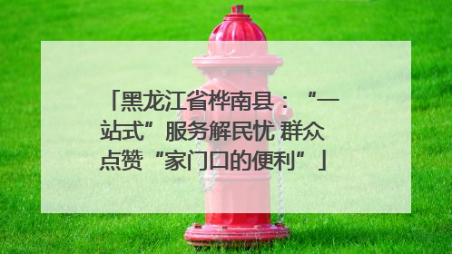 黑龙江省桦南县：“一站式”服务解民忧 群众点赞“家门口的便利”