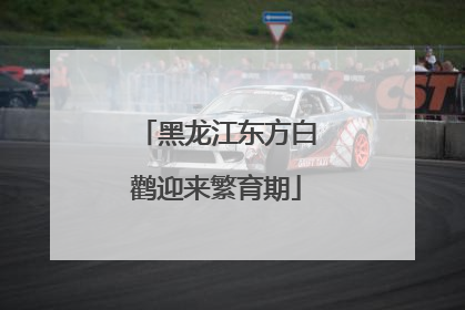 黑龙江东方白鹳迎来繁育期
