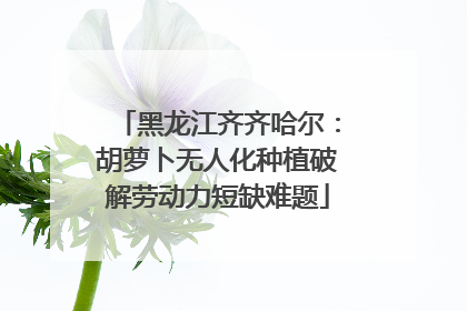 黑龙江齐齐哈尔：胡萝卜无人化种植破解劳动力短缺难题