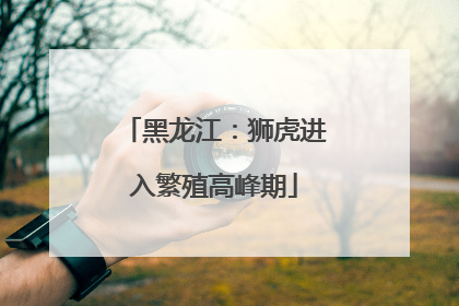 黑龙江：狮虎进入繁殖高峰期