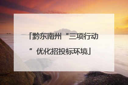 黔东南州“三项行动”优化招投标环境