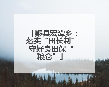 黟县宏潭乡：落实“田长制” 守好良田保“粮仓”