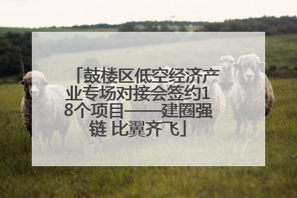 鼓楼区低空经济产业专场对接会签约18个项目——建圈强链 比翼齐飞