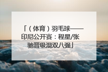 （体育）羽毛球——印尼公开赛：程星/张驰晋级混双八强