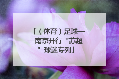 （体育）足球——南京开行“苏超”球迷专列