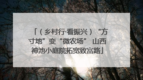 （乡村行·看振兴）“方寸地”变“微农场” 山西神池小庭院拓宽致富路