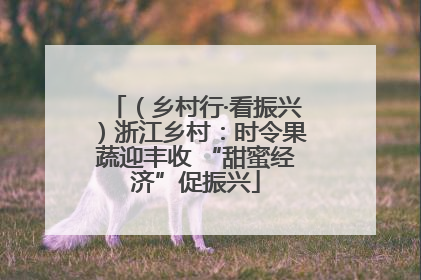 （乡村行·看振兴）浙江乡村：时令果蔬迎丰收 “甜蜜经济”促振兴