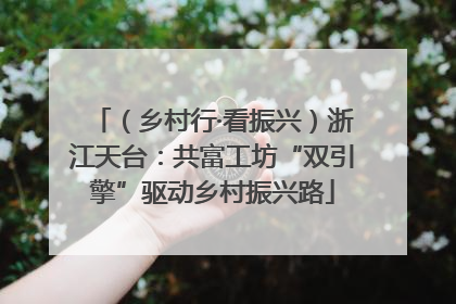 （乡村行·看振兴）浙江天台：共富工坊“双引擎”驱动乡村振兴路