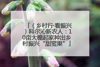 （乡村行·看振兴）科尔沁新农人：10亩大棚起家种出乡村振兴“甜蜜果”