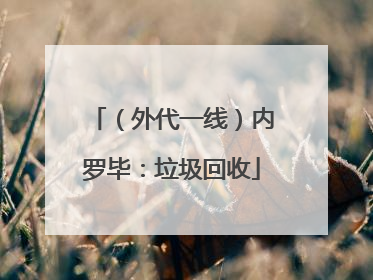 （外代一线）内罗毕：垃圾回收