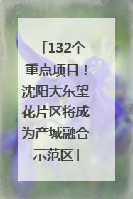 132个重点项目！沈阳大东望花片区将成为产城融合示范区
