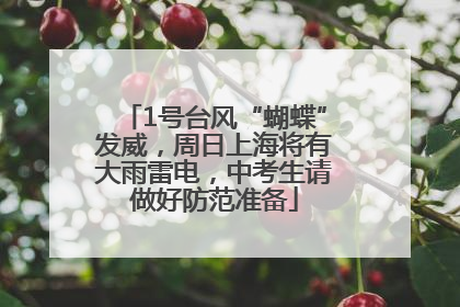 1号台风“蝴蝶”发威，周日上海将有大雨雷电，中考生请做好防范准备
