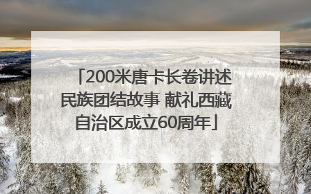 200米唐卡长卷讲述民族团结故事 献礼西藏自治区成立60周年