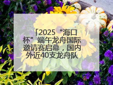 2025“海口杯”端午龙舟国际邀请赛启幕，国内外近40支龙舟队竞逐海甸溪