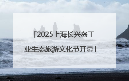 2025上海长兴岛工业生态旅游文化节开幕